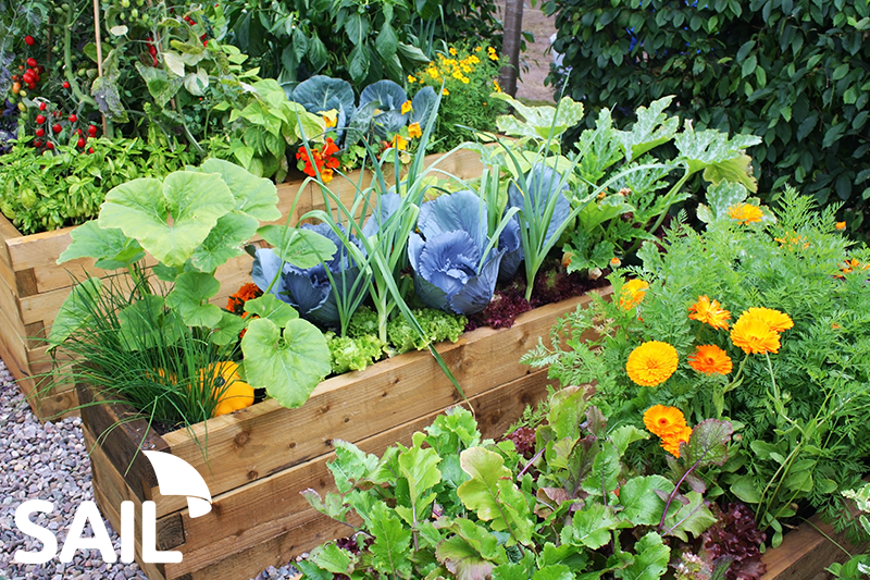 benefits-of-starting-a-fruit-vegetable-garden-sail